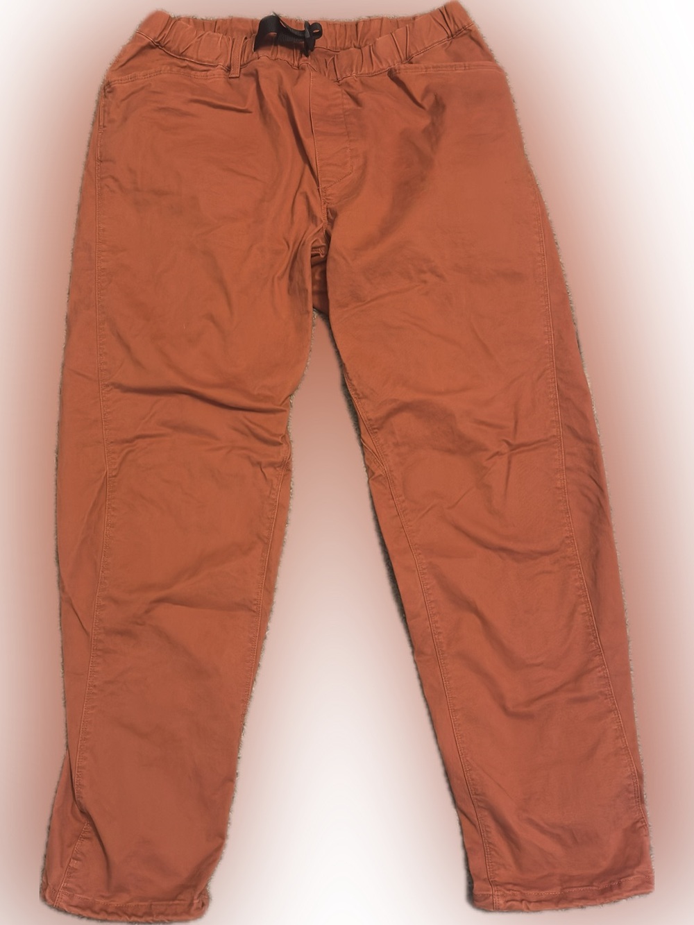 Mountain Hardwear “Crag Hopper” Pants Mens medium short inseam pull-on